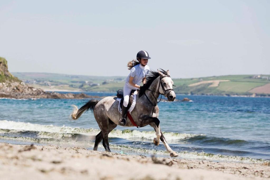 Dunmore House Hotel Клонакилти Екстериор снимка